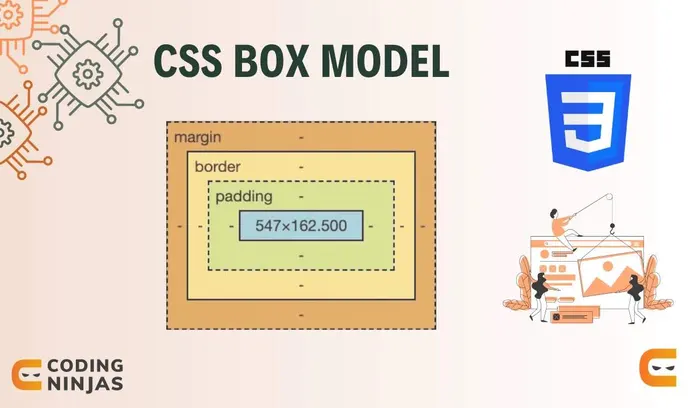 ما هو Box Model في CSS؟ شرح شامل لكيفية التحكم في حجم ومساحة العناصر