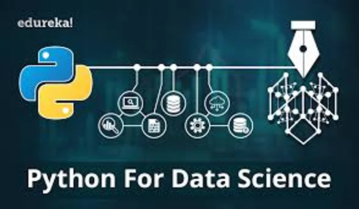 ما هو علم البيانات (Data Science) ولماذا تُعد Python اللغة الأولى فيه